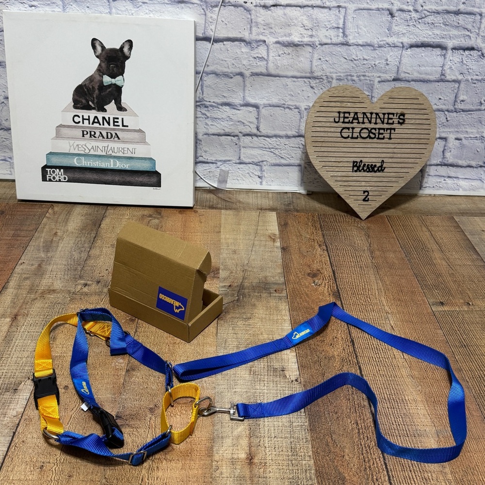 Mearrcgo
No Pull Dog Harness with Dog Leash, Easy to Control Walking Harness L
